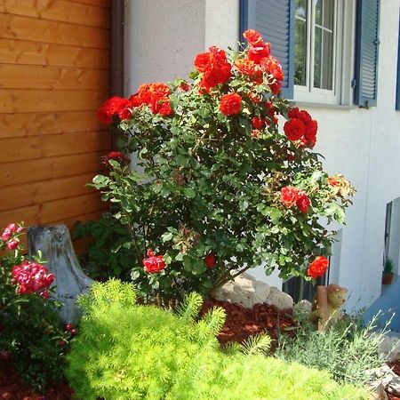 Ferienwohnung Weiser Kressbronn am Bodensee Kültér fotó
